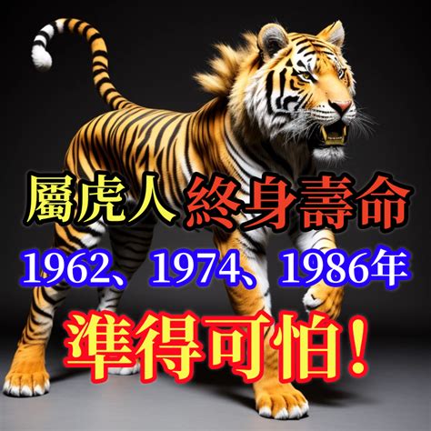 1962年屬虎|1962年出生属虎的人命运如何